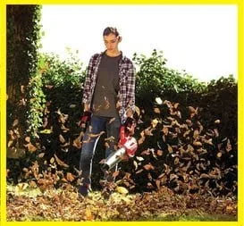 MelhorObra-apresenta-os-melhores-cortadores-de-grama-achei-melhor-oferta-marca-cortar-jardim-paisagismo